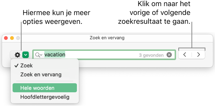 Het venster 'Zoek en vervang' met een pop‑upmenu met de opties 'Zoek', 'Zoek en vervang', 'Hele woorden' en 'Hoofdlettergevoelig'. Met de pijlen aan de rechterkant kun je naar het vorige of volgende zoekresultaat gaan.