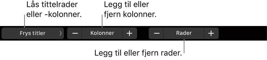 Touch Bar på MacBook Pro med kontroller for å låse tittelrader eller kolonner, legge til eller fjerne kolonner, og legge til eller fjerne rader.