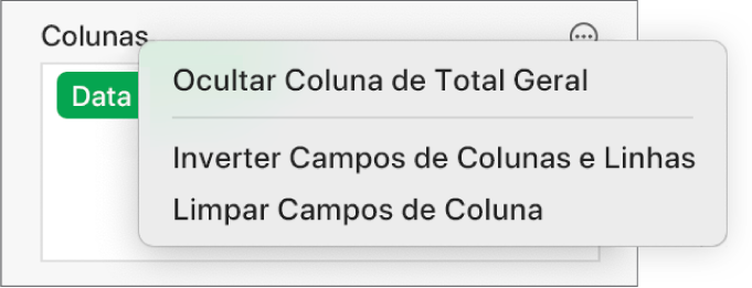 O menu Mais Opções de Campo, mostrando os controles para ocultar totais gerais, inverter campos de coluna e linha, e limpar campos.