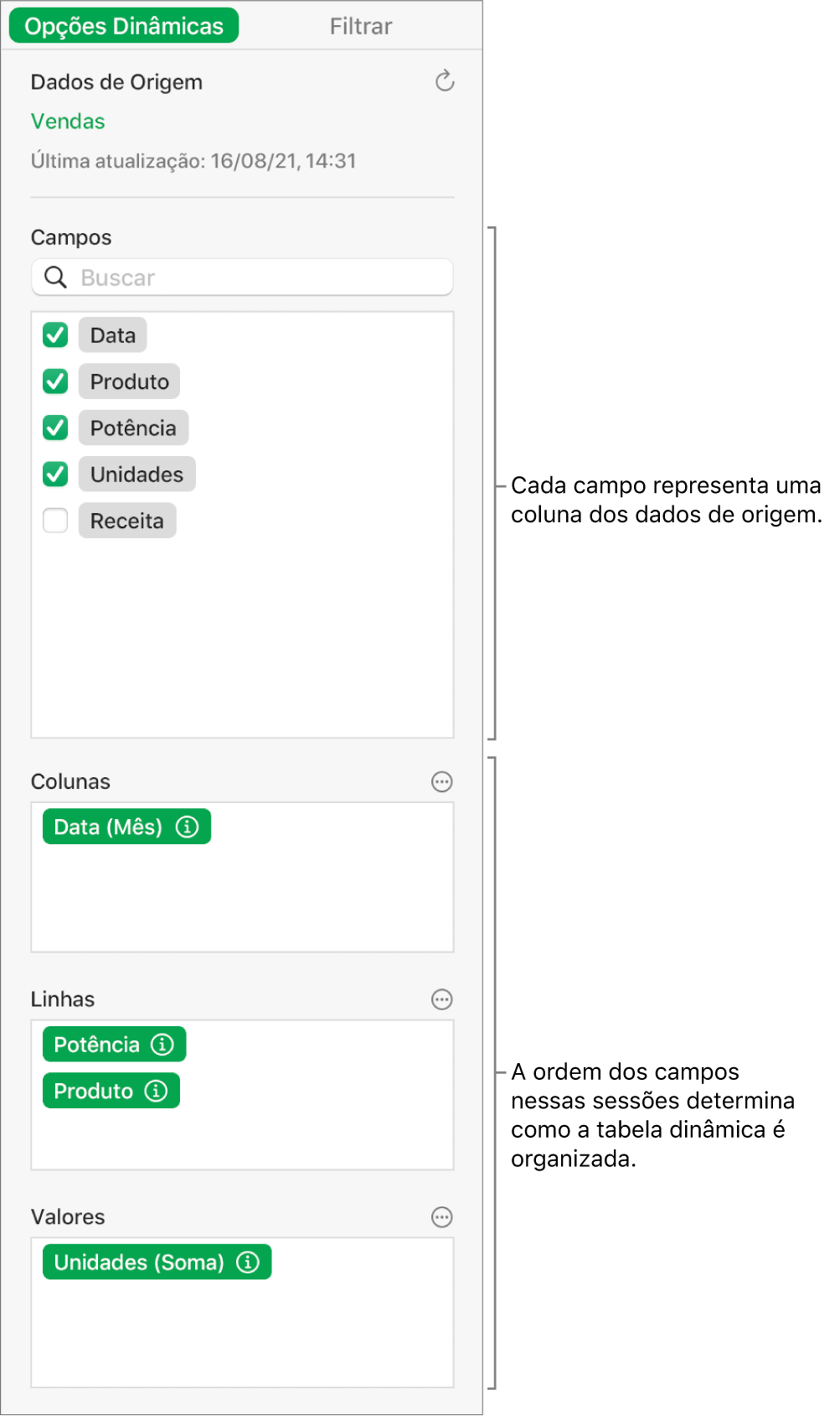 A aba Opções Dinâmicas na barra lateral Organizar, mostrando campos das seções Colunas, Linhas e Valores, bem como controles para editar os campos e atualizar a tabela dinâmica.