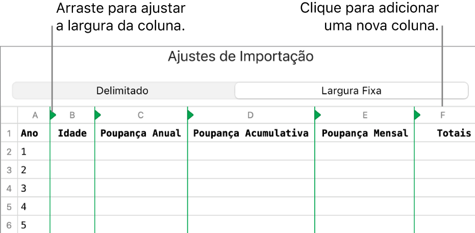 Ajustes de importação para um arquivo de texto de largura fixa.