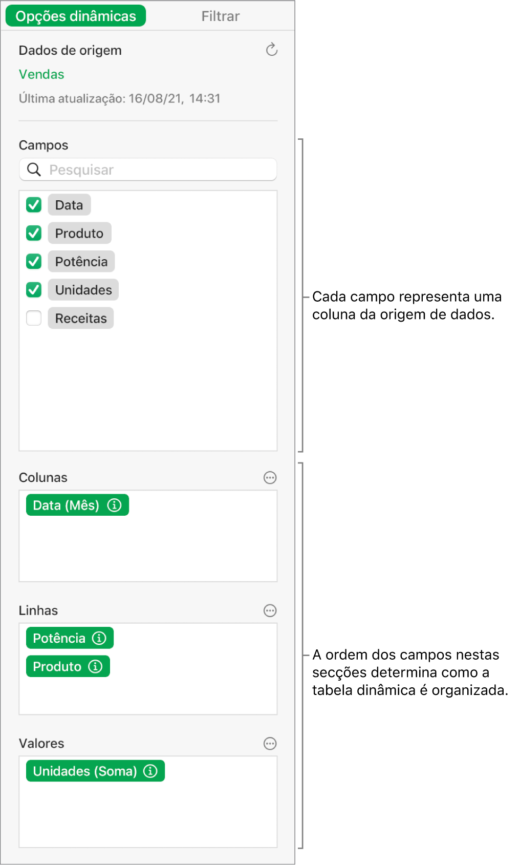 O separador “Opções dinâmicas” na barra lateral “Organizar” a mostrar campos nas secções “Colunas”, “Linhas” e “Valores”, bem como os controlos para editar os campos e atualizar a tabela dinâmica.