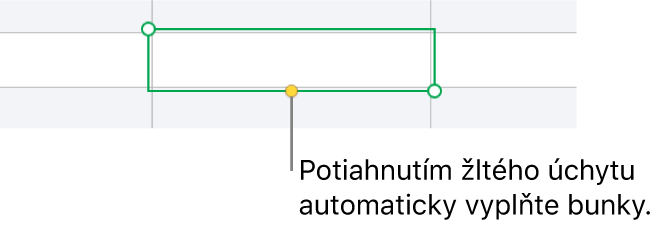 Vybratá bunka so žltým úchytom, ktorého potiahnutím môžete automaticky vypĺňať bunky.