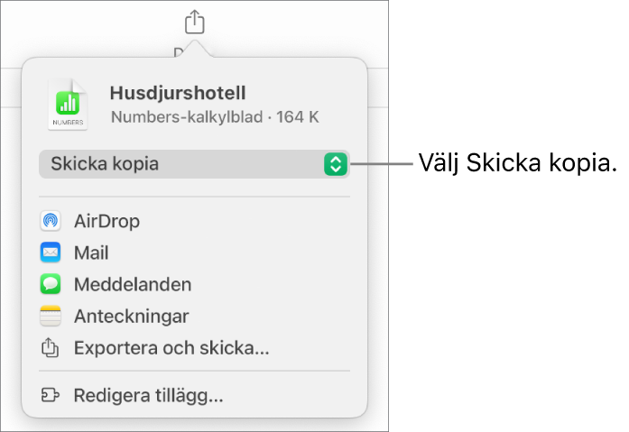 Delningsmenyn med Skicka kopia markerat högst upp.