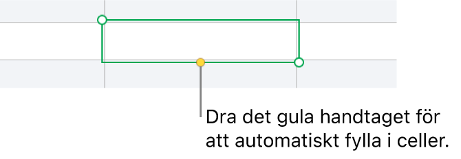 En markerad cell med ett gult handtag du kan dra för att autofylla celler.