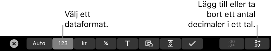 Touch Bar på MacBook Pro med reglage för att välja ett dataformat och för att lägga till eller ta bort decimaler från ett tal.