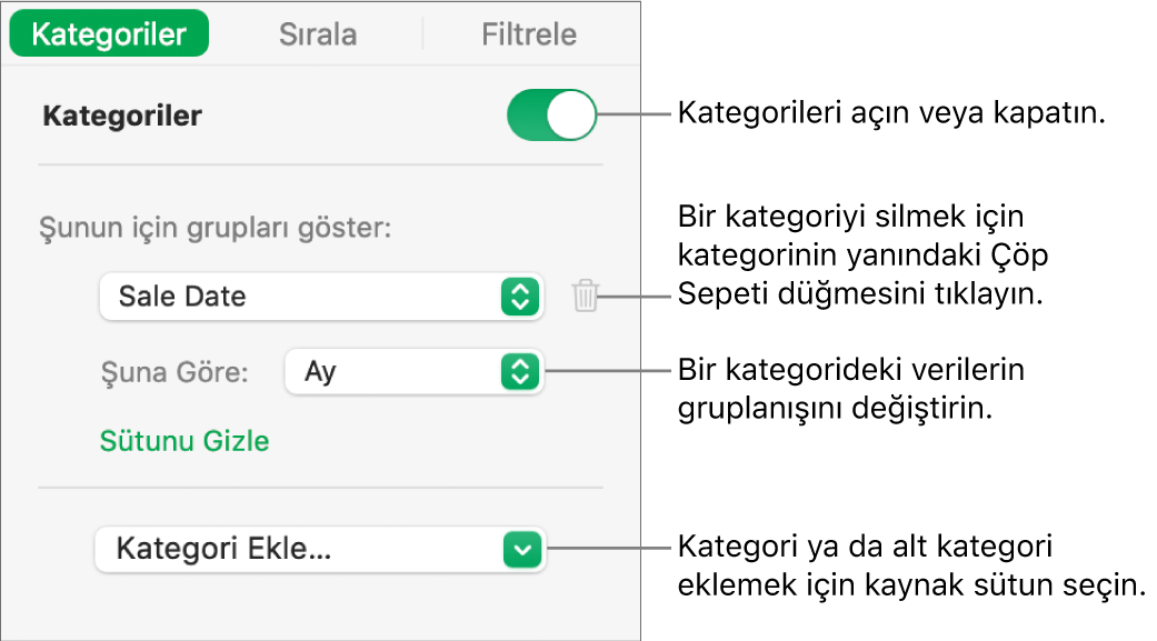 Kategorileri kapatma, kategorileri silme, verileri yeniden gruplama, kaynak sütunu gizleme ve kategori ekleme seçeneklerini içeren kategoriler kenar çubuğu.