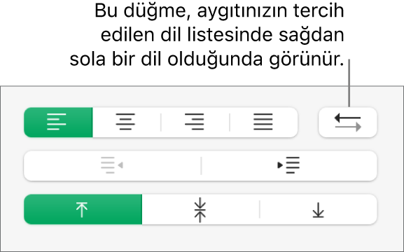 Biçim kenar çubuğunun Hizalama bölümünde Paragraf Yönü düğmesi.