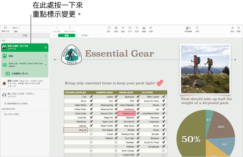 共同編輯試算表，其中共同編輯選單和活動列表都已開啟。