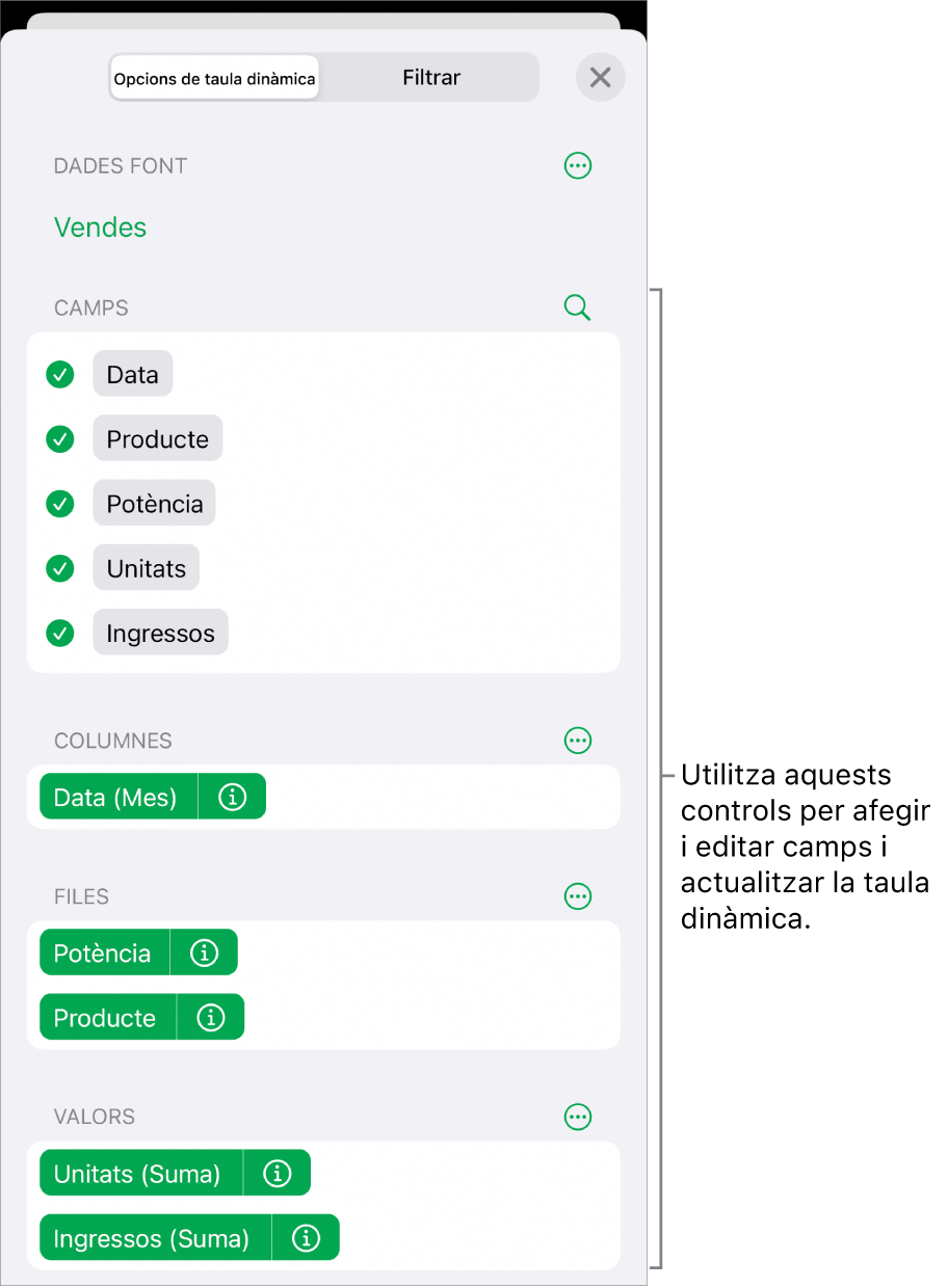 El menú “Opcions de taula dinàmica” que mostra els camps a les seccions Columnes, Files i Valors, a més dels controls per editar els camps.