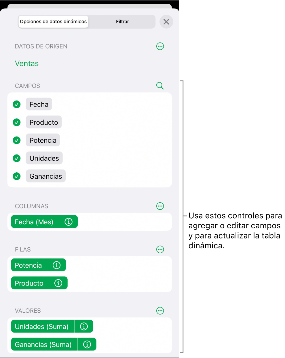 El menú Opciones de datos dinámicos mostrando los campos de las secciones Columnas, Filas y Valores, así como los controles para editar los campos.