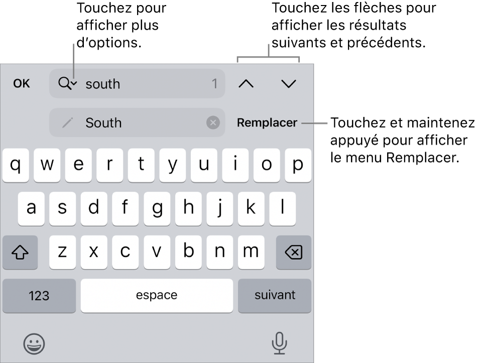 Les commandes de Rechercher et remplacer au-dessus du clavier avec des légendes pour les boutons Options de recherche, Remplacer, Monter et Descendre.