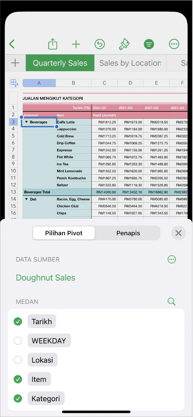 Hamparan dengan kawalan Pilihan Pivot dan Penapis di bahagian bawah skrin.