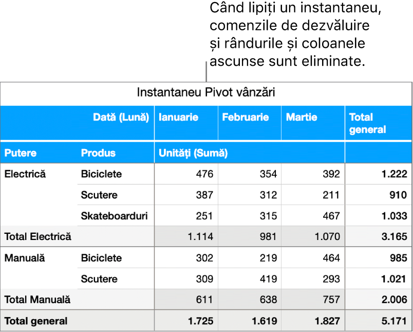 Instantaneul unui tabel pivot.