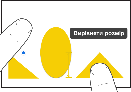 Тримайте один палець над фігурою, а іншим утримуйте обʼєкт за допомогою елемента «Вирівняти розмір» на екрані.