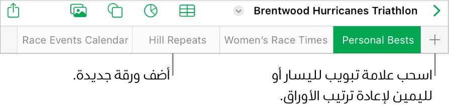 شريط علامات التبويب لإضافة ورقة جديدة والتنقل وإعادة التنظيم وإعادة ترتيب الأوراق.