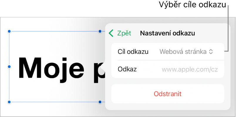 Ovládací prvky Nastavení odkazu s vybranou volbou Webová stránka a tlačítkem Odstranit v dolní části