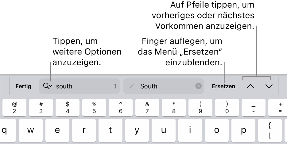 Die Steuerelemente „Suchen & Ersetzen“ über der Tastatur mit Beschreibungen zur Taste für Suchoptionen, zur Taste „Ersetzen“ und zu den Aufwärts- und Abwärts-Tasten.