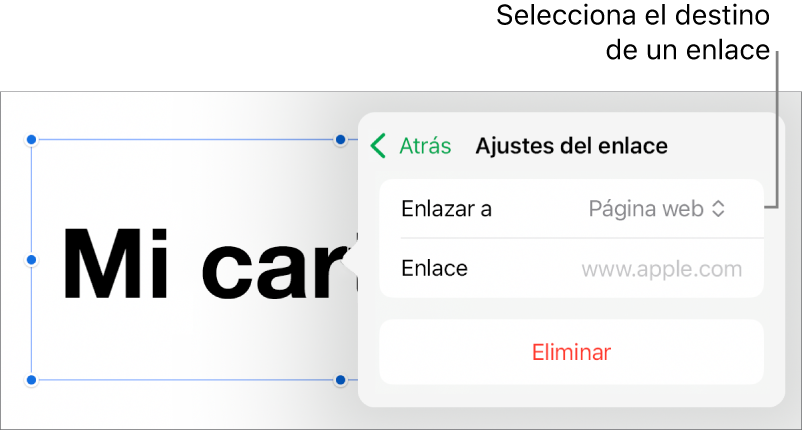 Controles de “Ajustes de enlace” con la opción “Página web” seleccionada y el botón Eliminar en la parte inferior.