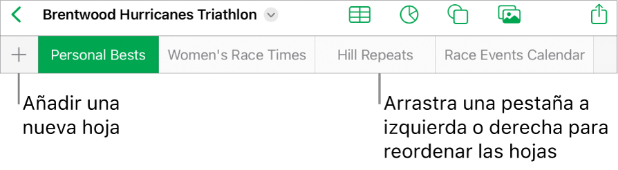 La barra de pestañas para añadir una nueva hoja, navegar, reordenar y reorganizar las hojas.