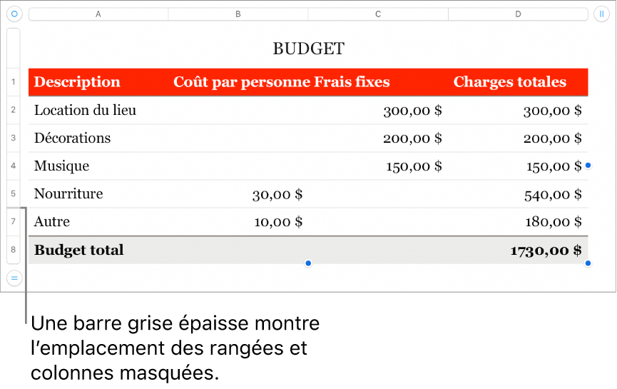 Une barre grise épaisse qui indique l’emplacement des rangées et des colonnes masquées.