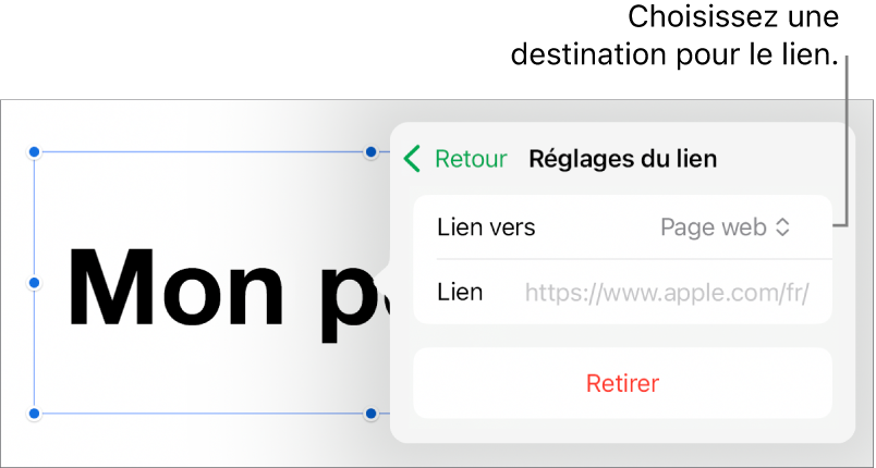 Les commandes « Réglages du lien » avec une page web sélectionnée et le bouton Supprimer en bas.