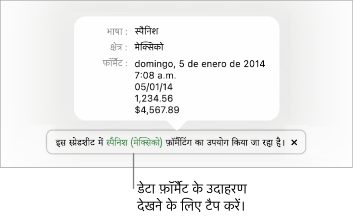 अलग भाषा और क्षेत्र सेटिंग संबंधी सूचना, जो उस भाषा और क्षेत्र के फ़ॉर्मैटिंग से जुड़े उदाहरण दर्शाती है।