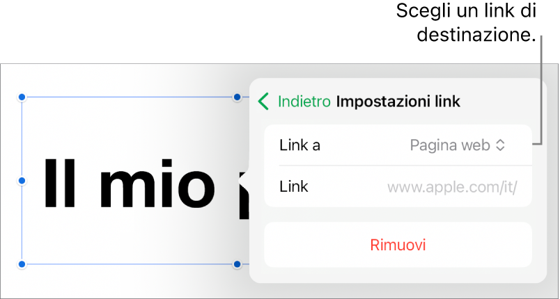 I controlli delle impostazioni dei link con la pagina web selezionata e con il pulsante per rimuovere il link mostrato in basso.