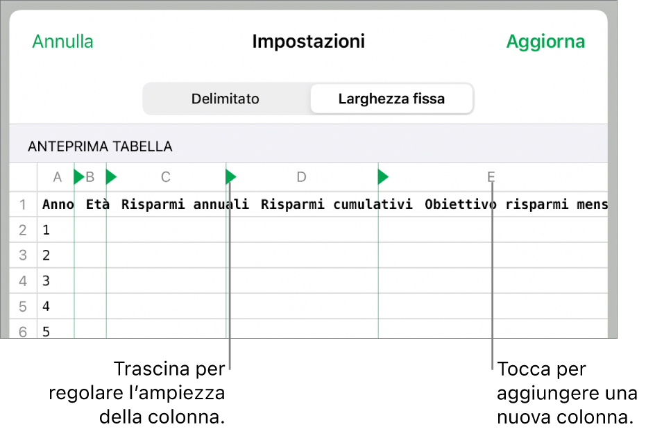 Impostazioni di importazione per un file di testo a larghezza fissa.