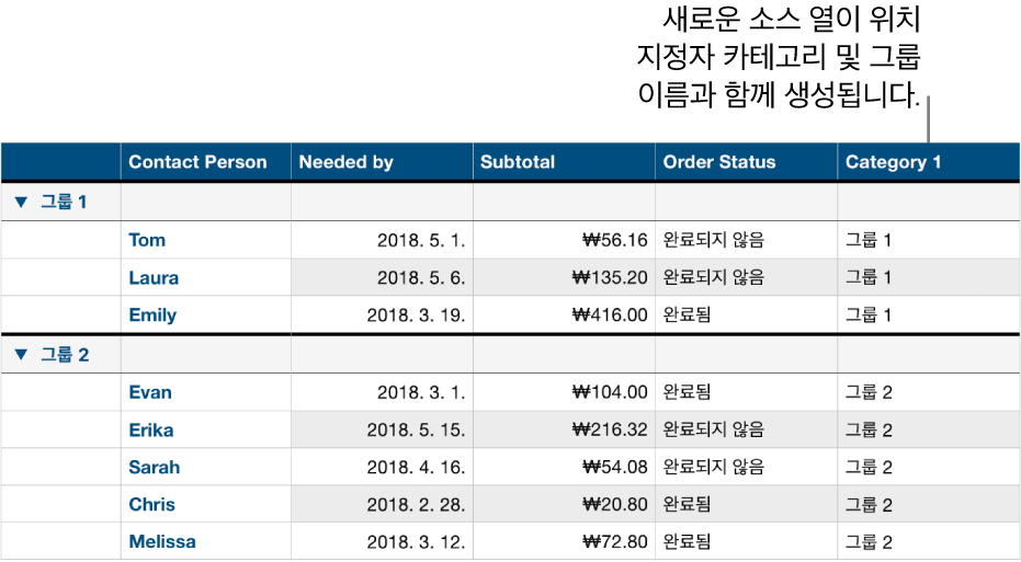 카테고리 및 그룹의 위치 지정자 이름이 있는 분류된 표.