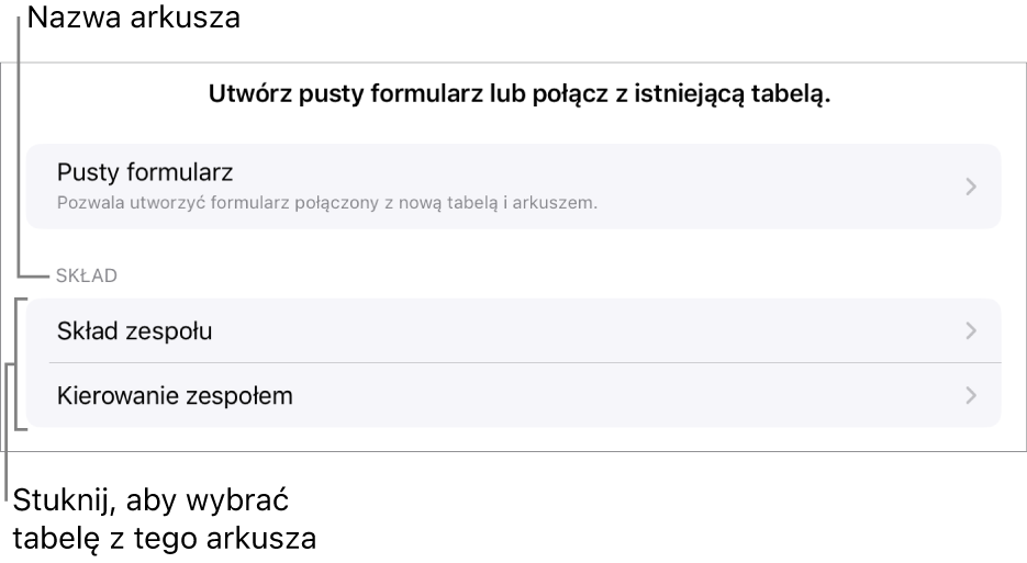 Lista tabeli w tym samym arkuszu kalkulacyjnym oraz na górze widoczna jest opcja tworzenia pustego formularza.