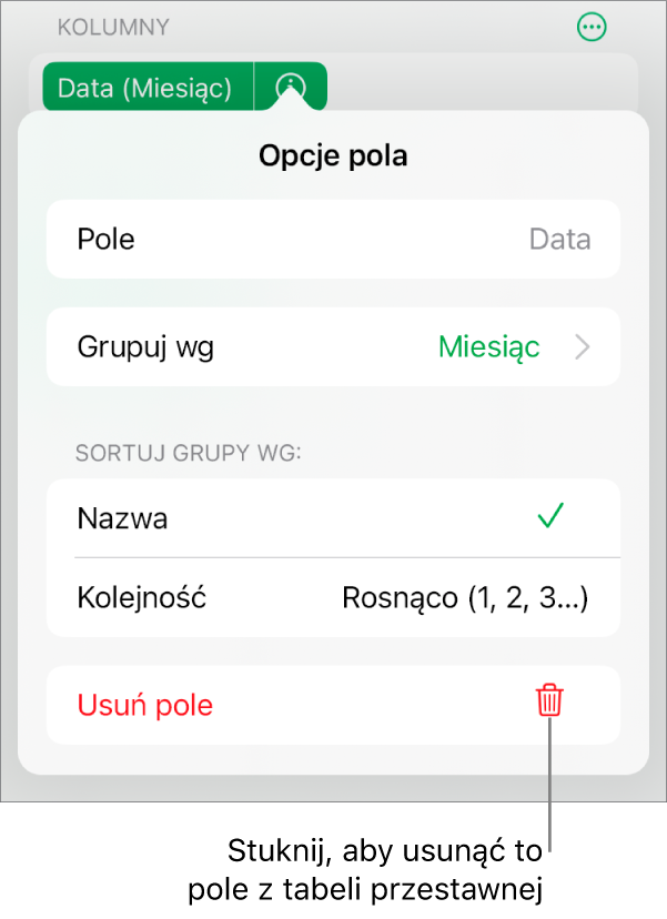 Menu Opcje pola pokazujące narzędzia grupowania i sortowania danych, a także opcja usuwania pola.