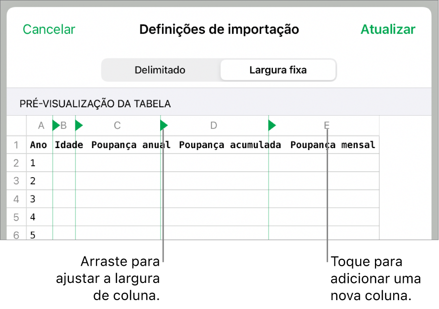 As definições de importação para um ficheiro de texto de largura fixa.