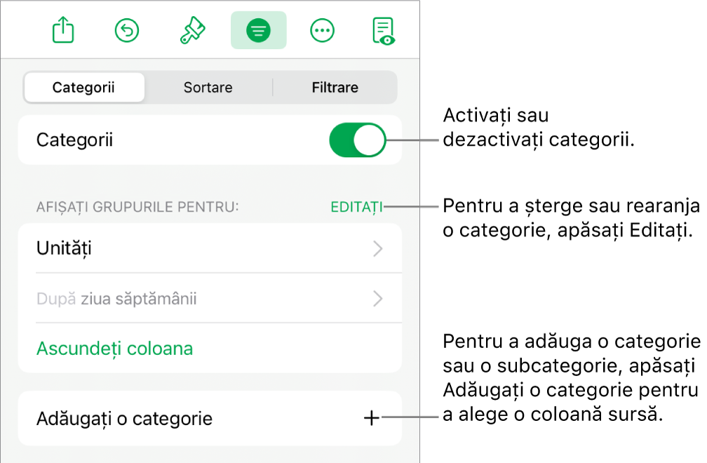 Meniu Categorii pentru iPad cu opțiuni pentru a dezactiva categoriile, șterge categoriile, regrupa datele, ascunde o coloană sursă și a adăuga categorii.