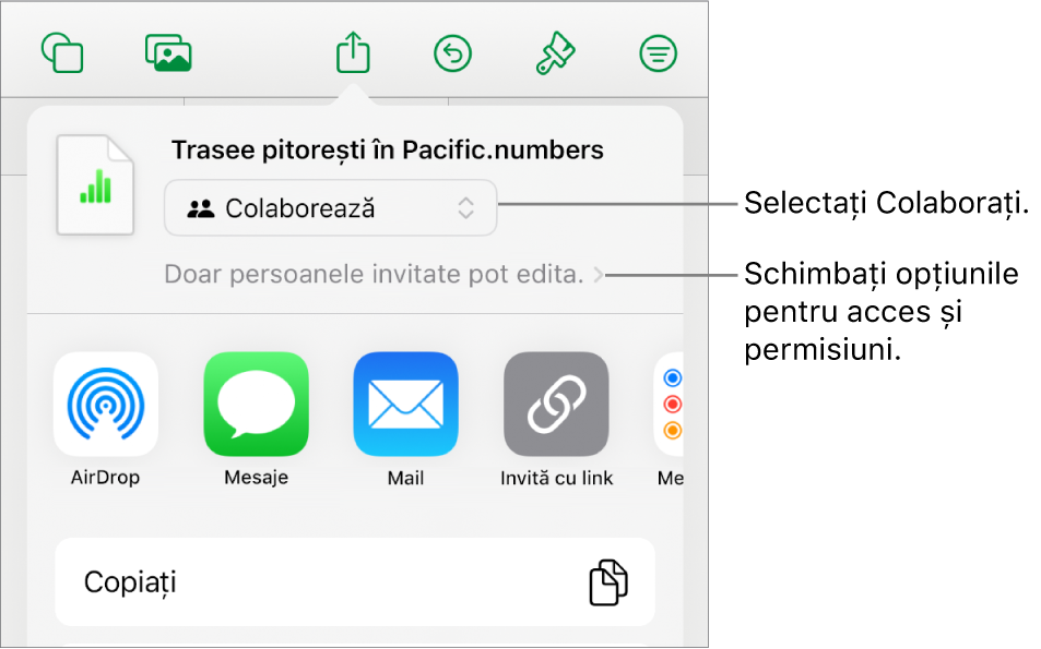 Meniul Partajați, cu opțiunea Colaborați selectată în partea de sus și configurările de acces și permisiune dedesubt.
