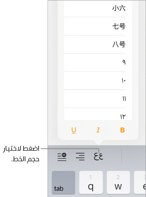 زر حجم الخط على الجهة اليسرى من لوحة مفاتيح الـ iPad وبها قائمة حجم الخط مفتوحة. أحجام الخط القياسية لحكومة بر الصين الرئيسي تظهر في أعلى القائمة مع أحجام النقاط في الأسفل.