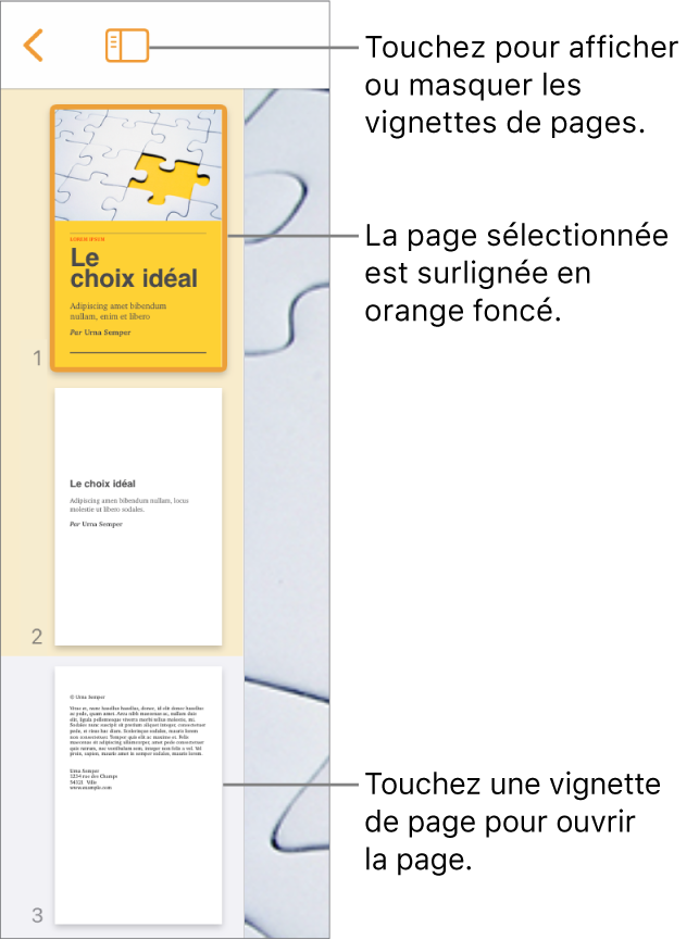 Présentation Vignettes de page sur le côté gauche de l’écran avec une section de deux pages, une ligne séparatrice, puis une page de la section suivante. Le bouton Présentation est situé au-dessus des vignettes.