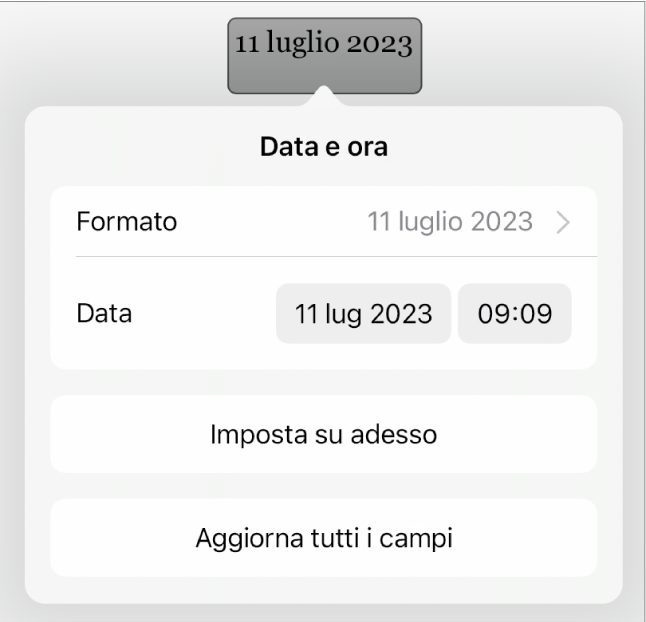 I controlli “Data e ora” con un menu comparsa per il formato della data e i pulsanti “Imposta su oggi” e “Aggiorna tutti i campi”.