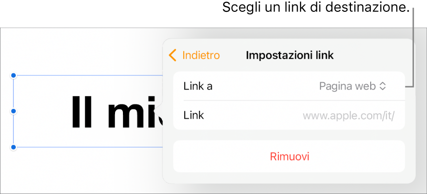 I controlli delle impostazioni dei link con la pagina web selezionata e con il pulsante per rimuovere il link mostrato in basso.