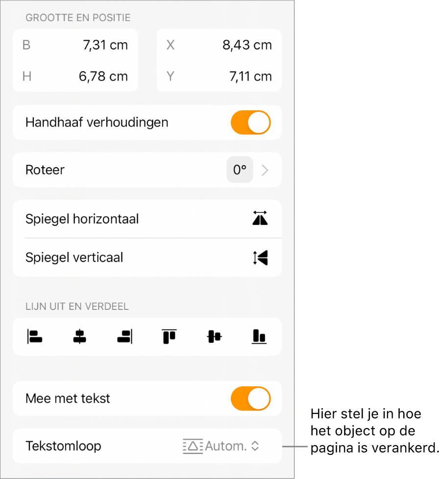 Het tabblad 'Orden' in het paneel met opmaakregelaars en regelaars voor 'Naar achteren/Naar voren', 'Mee met tekst' en 'Tekstomloop'.