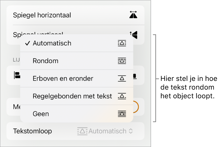 Het tabblad 'Orden' in het paneel met opmaakregelaars. In het tabblad staan regelaars voor tekstomloop met 'Naar achteren/Naar voren', 'Mee met tekst' en 'Tekstomloop'.