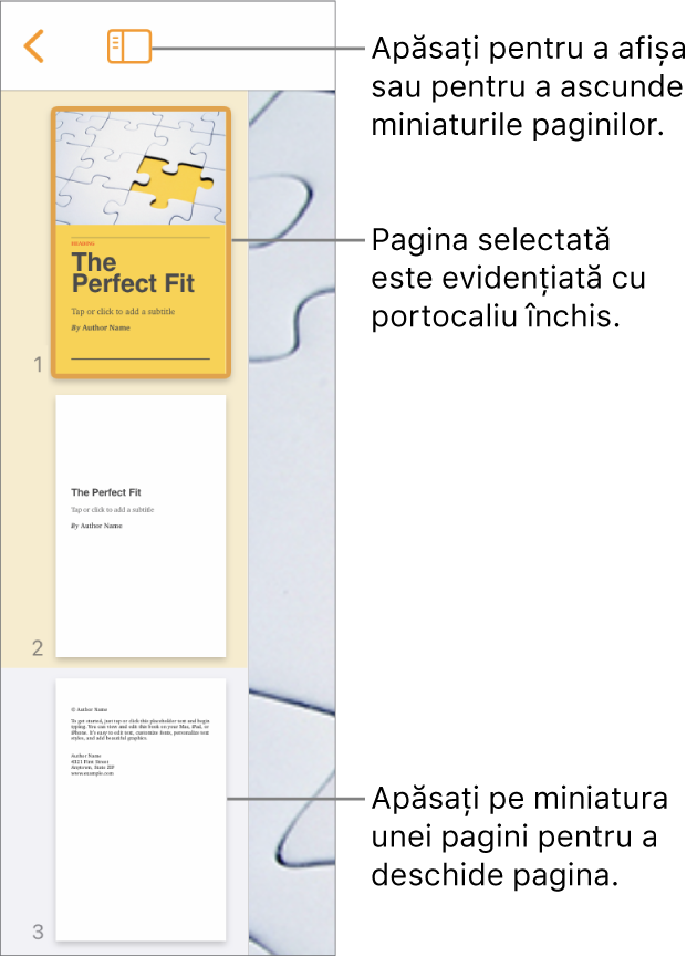 Vizualizarea Miniaturi pagini în partea stângă a ecranului cu o secțiune cu două pagini, o linie separatoare, apoi o pagină din secțiunea următoare. Butonul Vizualizare se află deasupra miniaturilor.