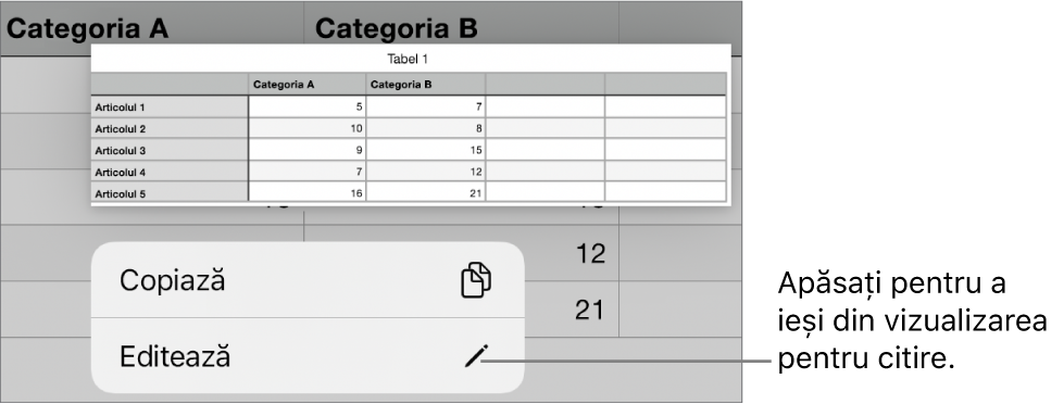 O celulă de tabel este selectată și deasupra acesteia se află un meniu cu butoanele Copiați și Editați.