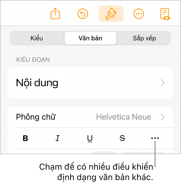 Tab Văn bản của điều khiển Định dạng, với lời nhắc đến nút Tùy chọn văn bản khác.