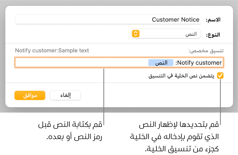 نافذة تنسيق خلية مخصصة مع عناصر تحكم لاختيار التنسيق المخصص للنص.