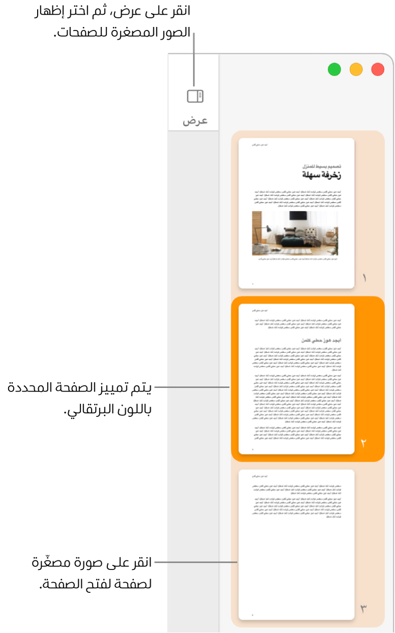 الشريط الجانبي على الجانب الأيمن من نافذة Pages وبه عرض الصور المصغرة للصفحات مفتوح مع صفحة محددة مميزة باللون البرتقالي الداكن.