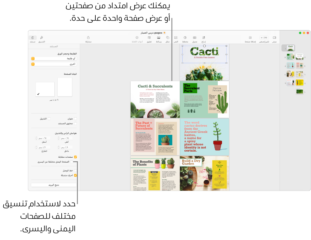 نافذة Pages وتظهر بها الصور المصغرة للصفحة وصفحات المستند معروضة كمجموعة امتداد من صفحتين. في الشريط الجانبي "المستند" على الجانب الأيسر، خانة الاختيار "الصفحة اليمنى مختلفة عن اليسرى" غير محددة.