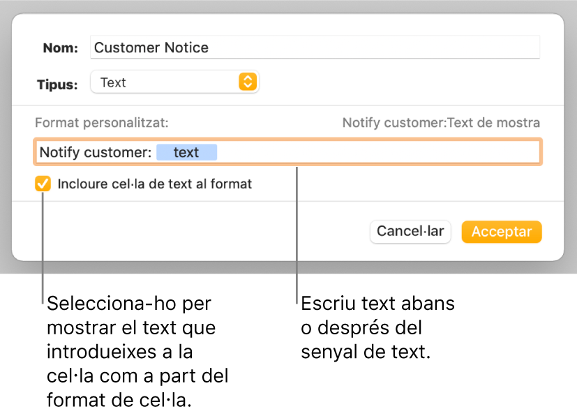 La finestra de format de cel·la personalitzat, amb controls per seleccionar el format de text personalitzat.