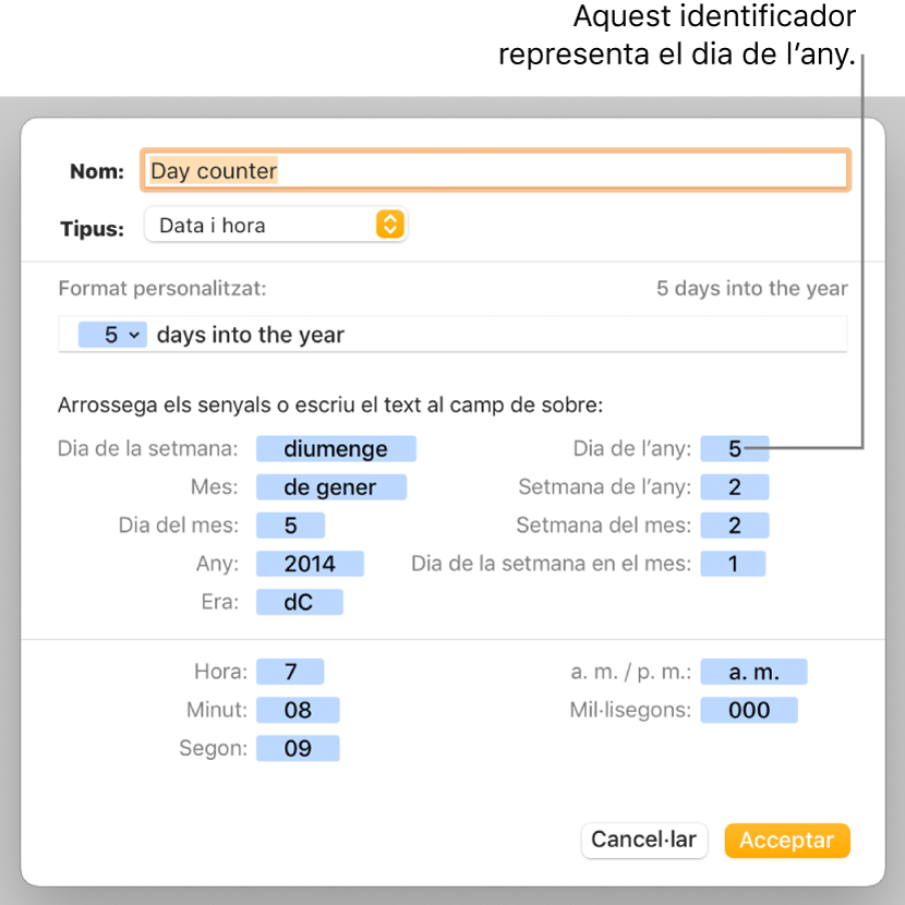 La finestra de format de cel·la personalitzat, amb controls per seleccionar un format personalitzat de data i hora.