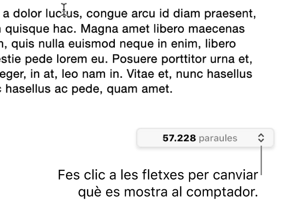 El menú “Recompte de paraules”, que mostra el nombre de paraules del document.